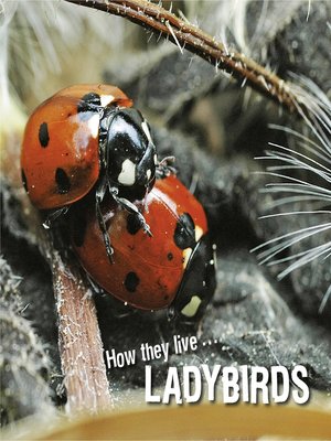 cover image of How They Live... Ladybirds